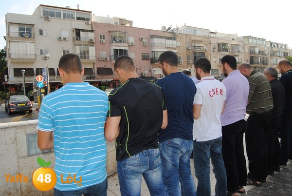 td egypt empassy 814 (83).JPG